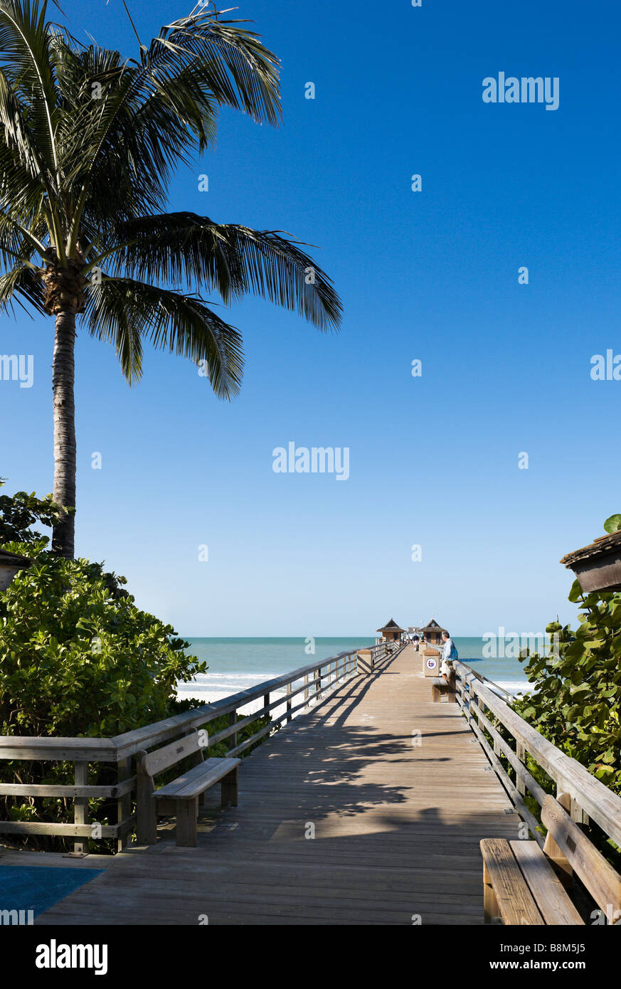 Jetée de la plage, la Côte du Golfe de Naples, Florida, USA Banque D'Images