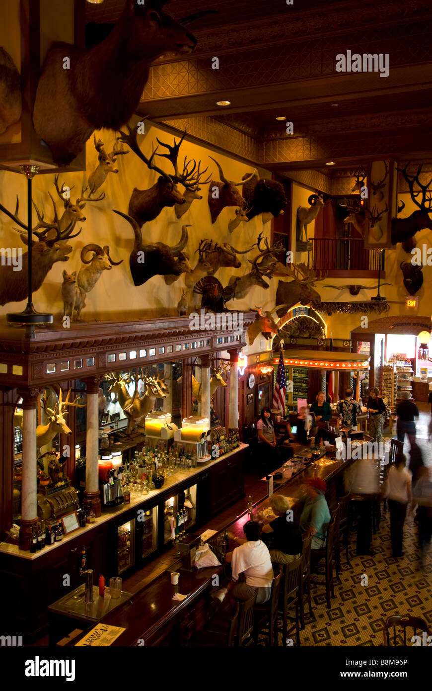 Buckhorn Saloon noyer 1890 bar au-dessus de San Antonio Texas tx aperçu les touristes au bar des têtes d'animaux en peluche sur le mur Banque D'Images