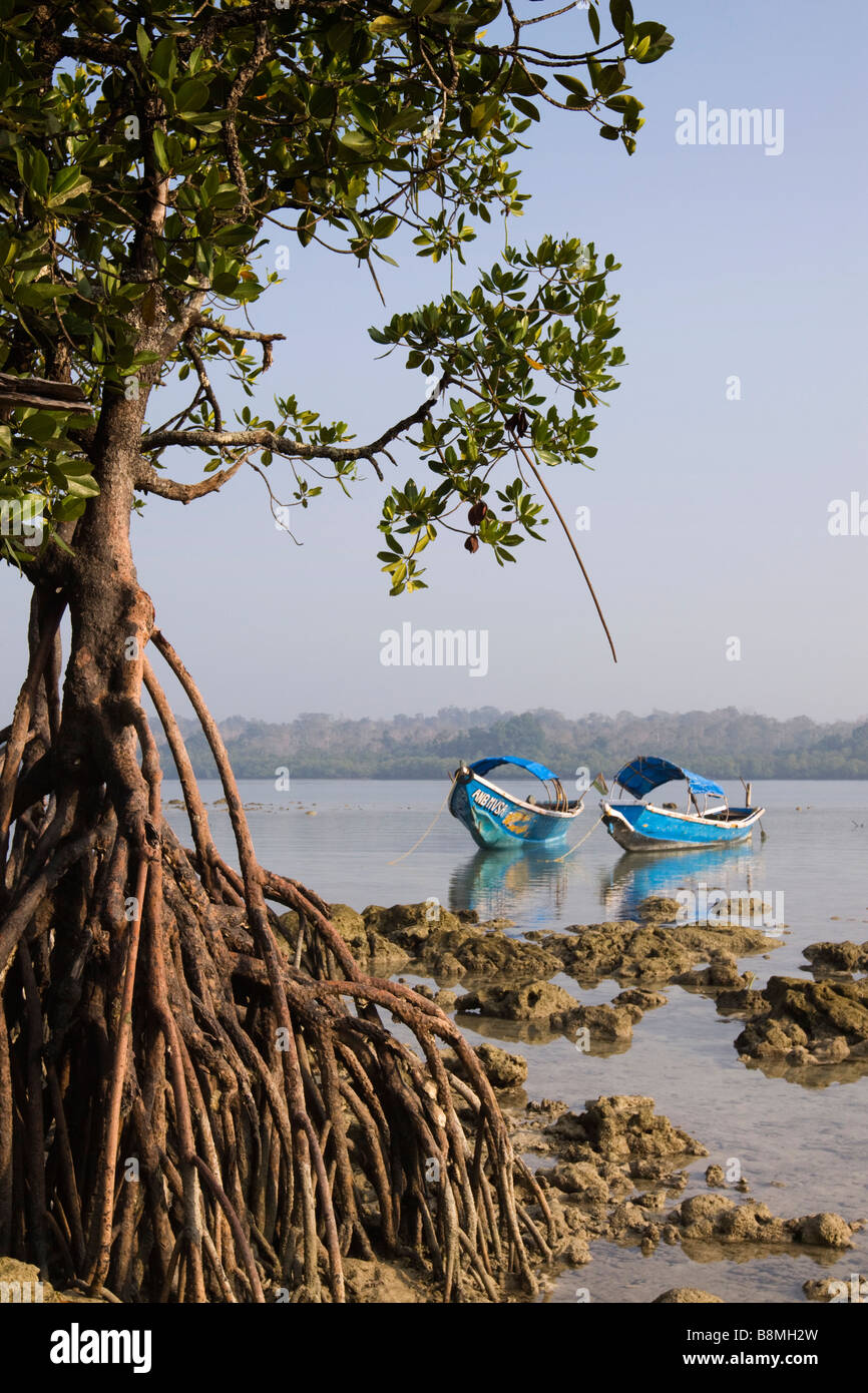 Andaman et Nicobar Inde Havelock island village numéro 2 les bateaux de pêche à travers les racines de mangrove Banque D'Images