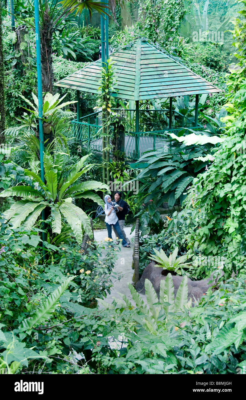 Jardin du lac au cœur de Kuala Lumpur Deer Park Oiseaux Papillon Carcosa Seri Negara Orchid Hibiscus jardin. Banque D'Images