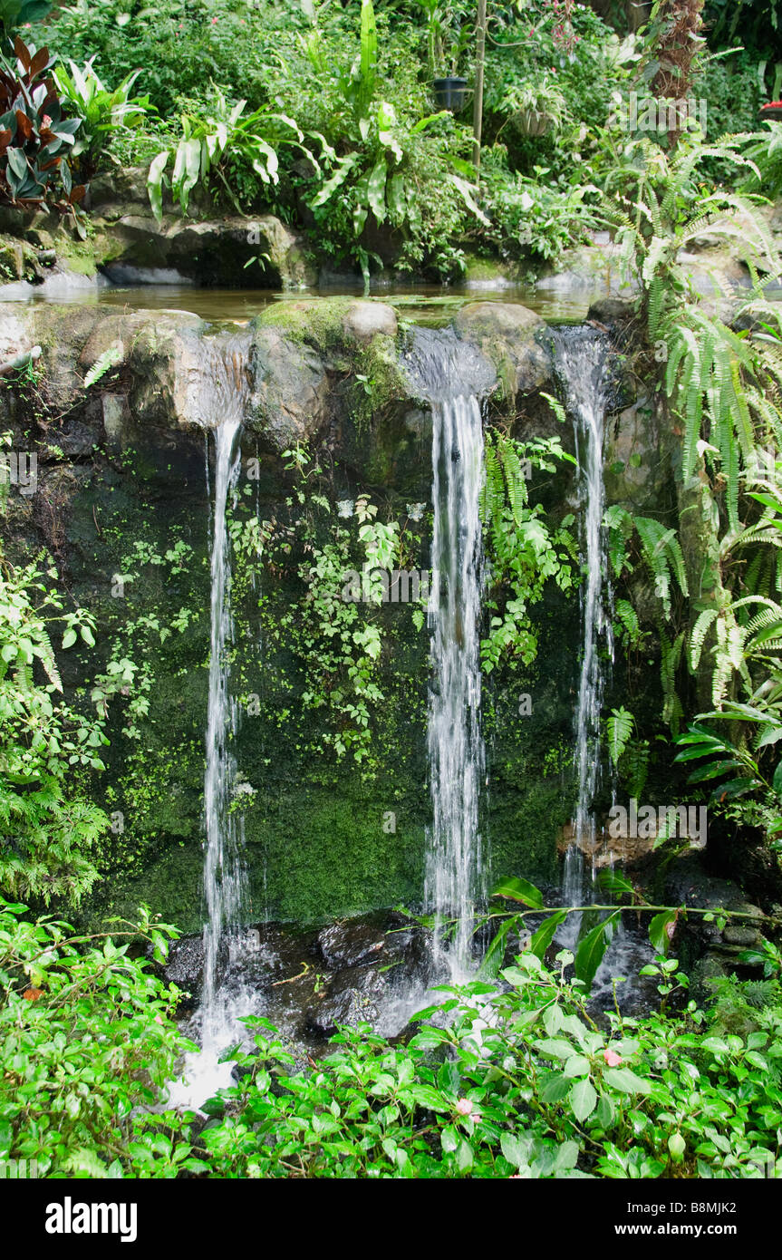 Jardin du lac au cœur de Kuala Lumpur Deer Park Oiseaux Papillon Carcosa Seri Negara Orchid Hibiscus jardin. Banque D'Images