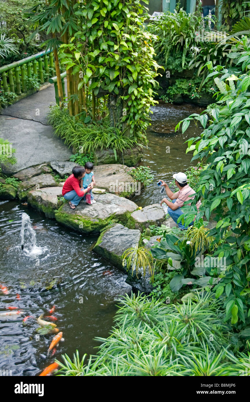 Jardin du lac au cœur de Kuala Lumpur Deer Park Oiseaux Papillon Carcosa Seri Negara Orchid Hibiscus jardin. Banque D'Images