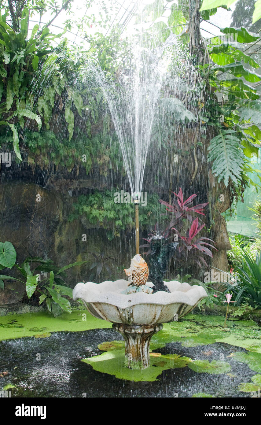 Jardin du lac au cœur de Kuala Lumpur Deer Park Oiseaux Papillon Carcosa Seri Negara Orchid Hibiscus jardin. Banque D'Images