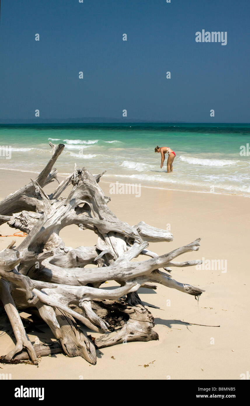 Andaman et Nicobar Inde Havelock island une femme seule sur la plage tropical parfait Banque D'Images
