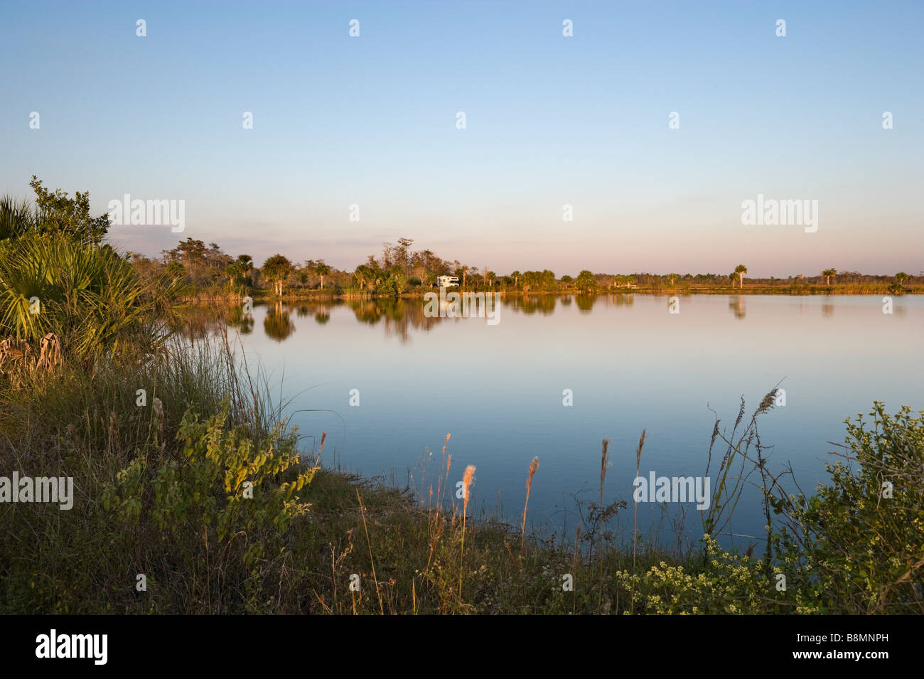 Camping Lac Monument et au coucher du soleil juste à côté de la Tamiami Trail (US 41), Big Cypress National Preserve, Everglades de Floride Banque D'Images