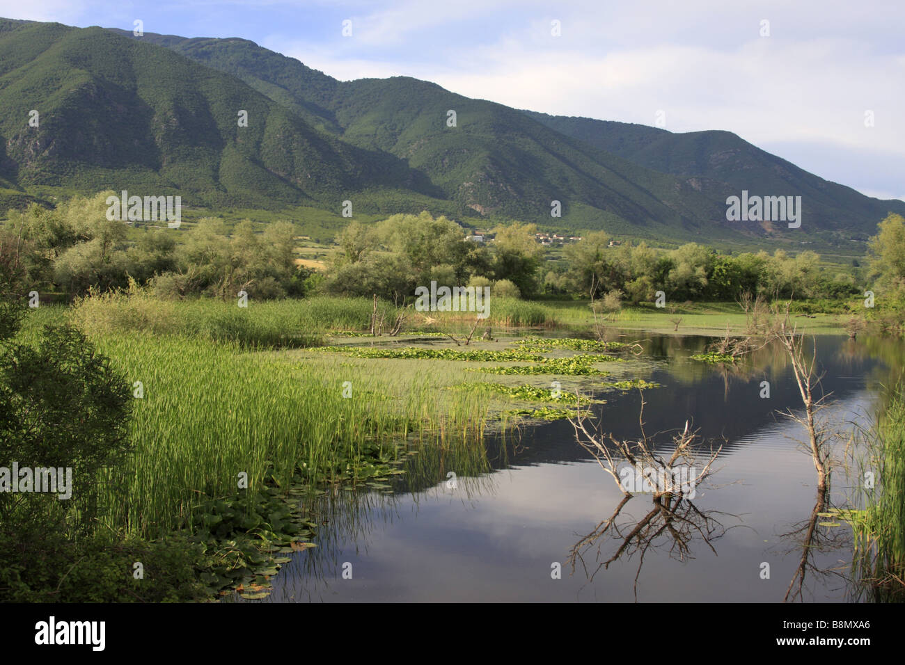 L'eau retour à l'Strymonas lac Kerkini, Grèce Banque D'Images