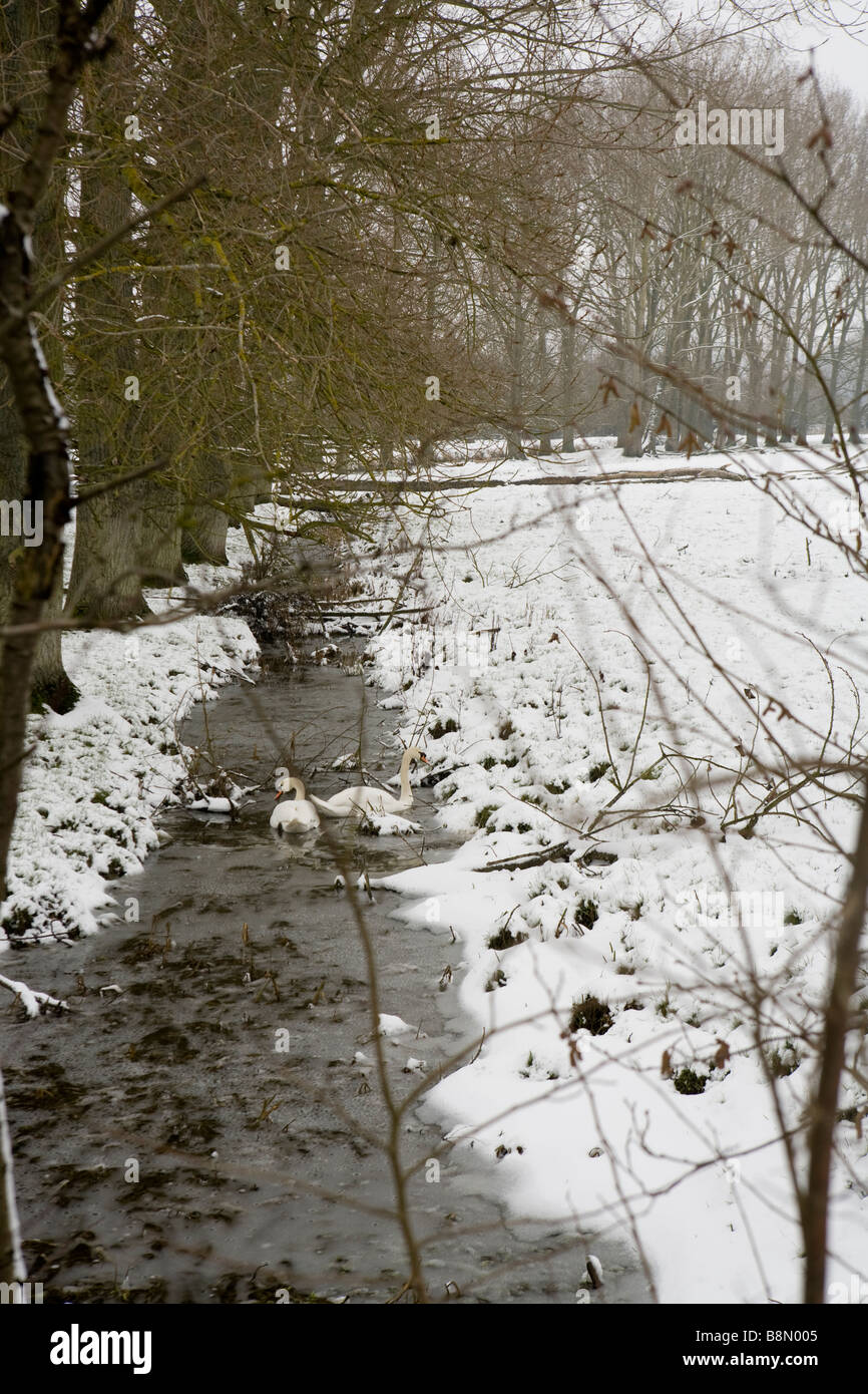 Neige de l'hiver sur les rives d'un fleuve Banque D'Images