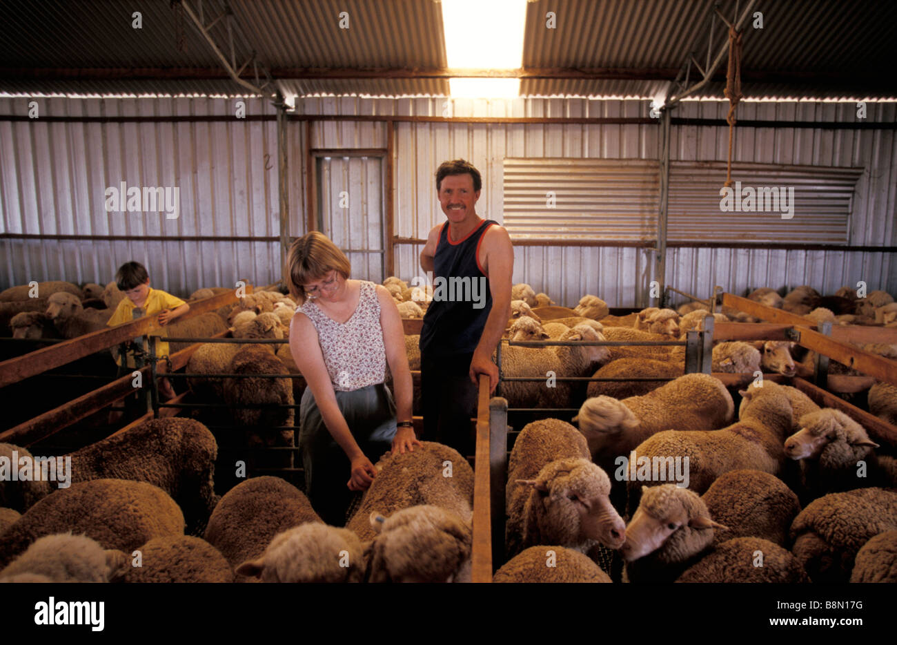 Woottoona Shearing Shed Rangers station Flinders en Australie du Sud Australie Banque D'Images