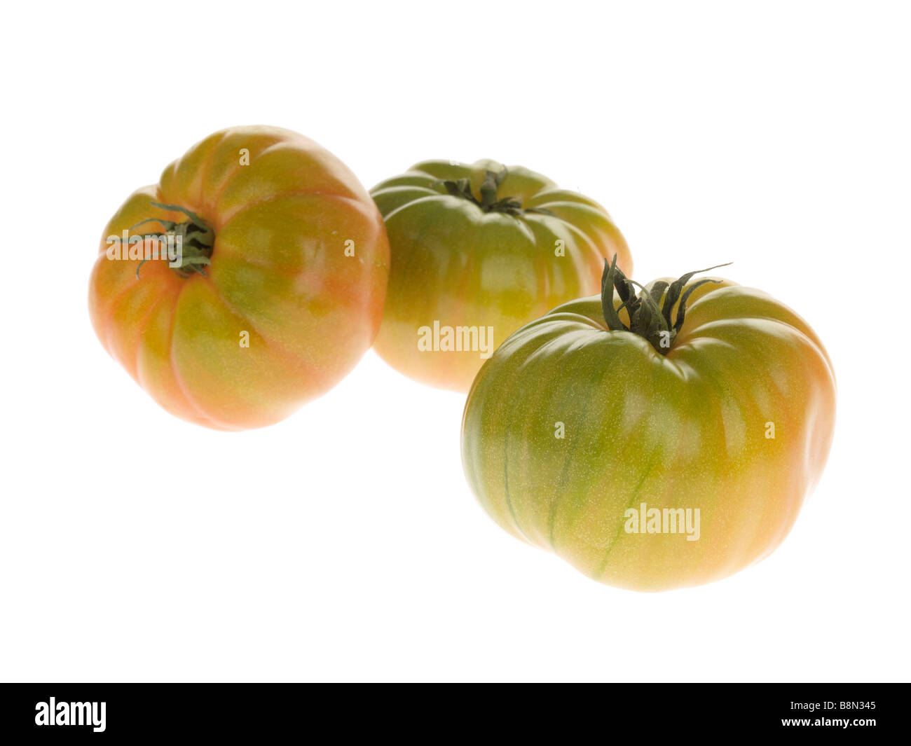 Grand frais mûrs Marmande Tomates vert isolé sur un fond blanc avec aucun peuple et un chemin de détourage Banque D'Images