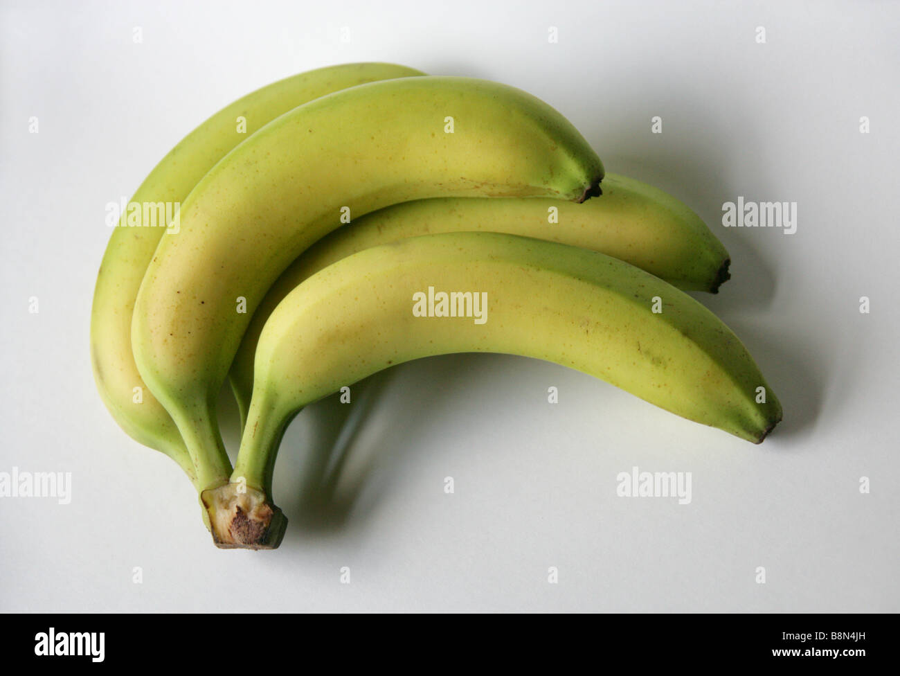 Régime de bananes Banque D'Images