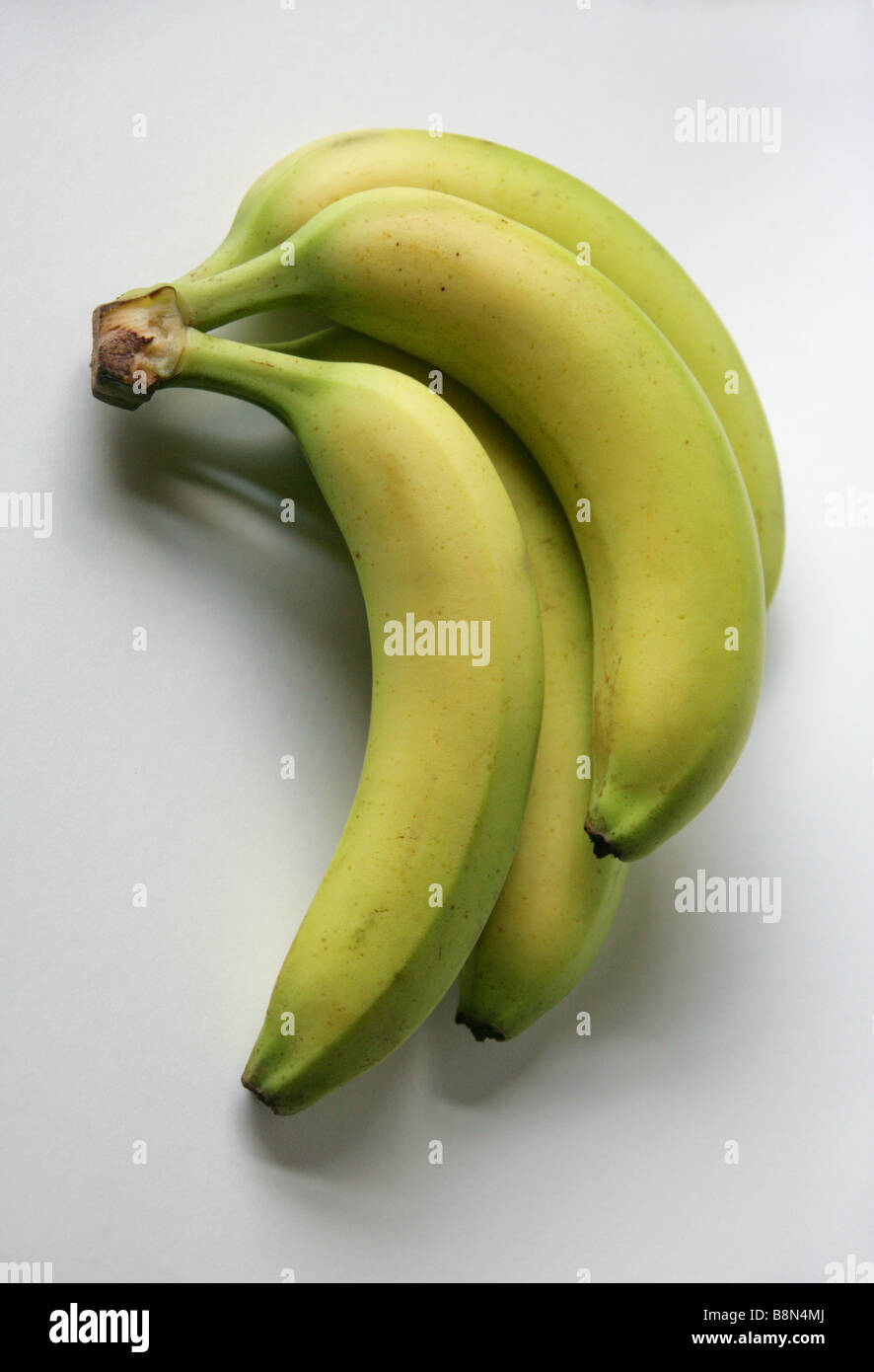 Régime de bananes Banque D'Images