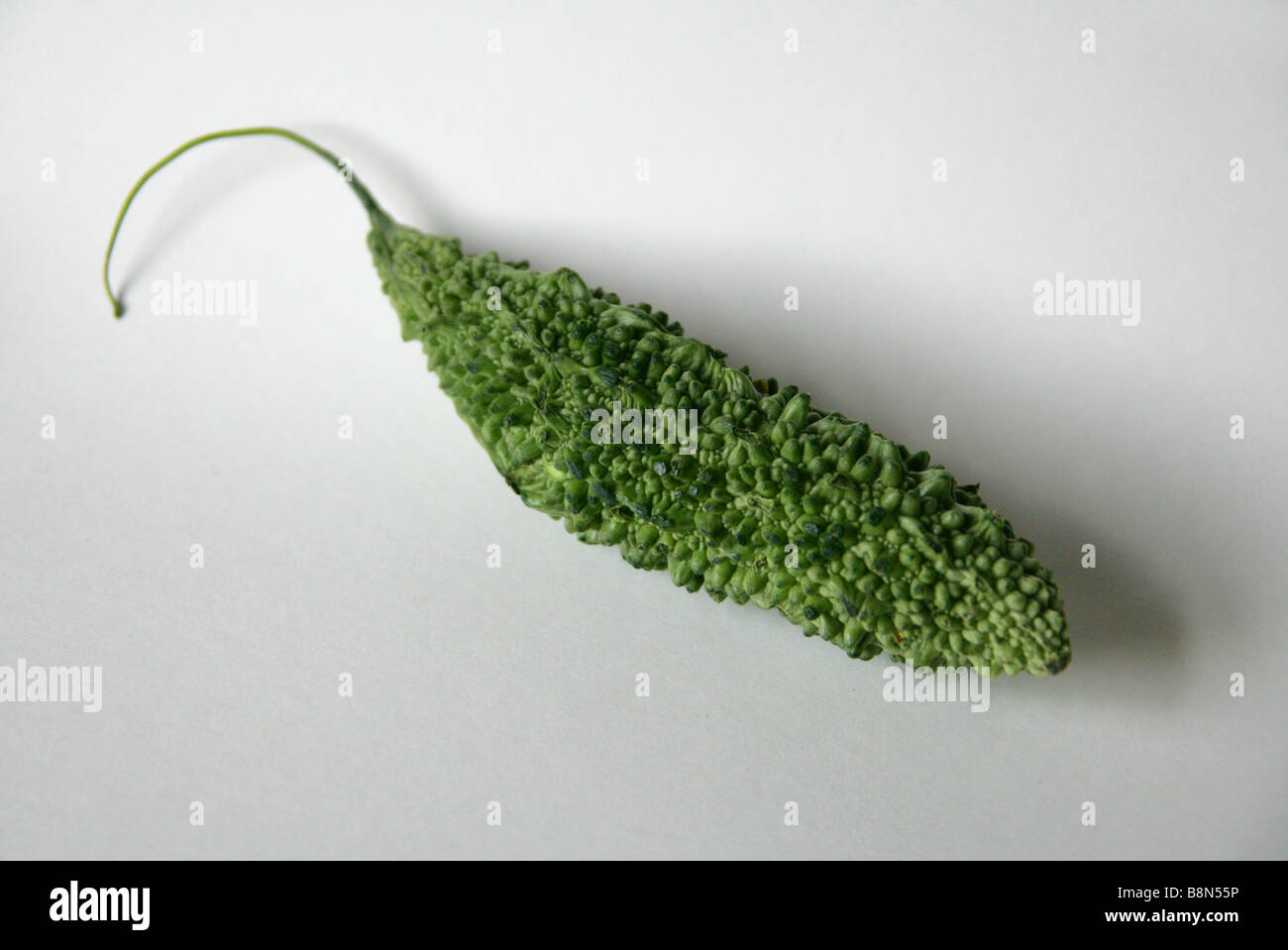 Karela aka melon amer ou bitter Gourd, Momordica charantia Banque D'Images