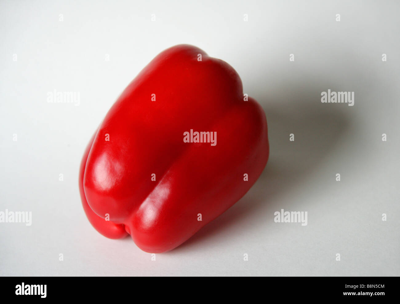 Poivron Capsicum rouge Banque D'Images