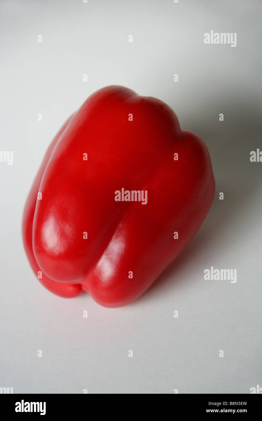 Poivron Capsicum rouge Banque D'Images