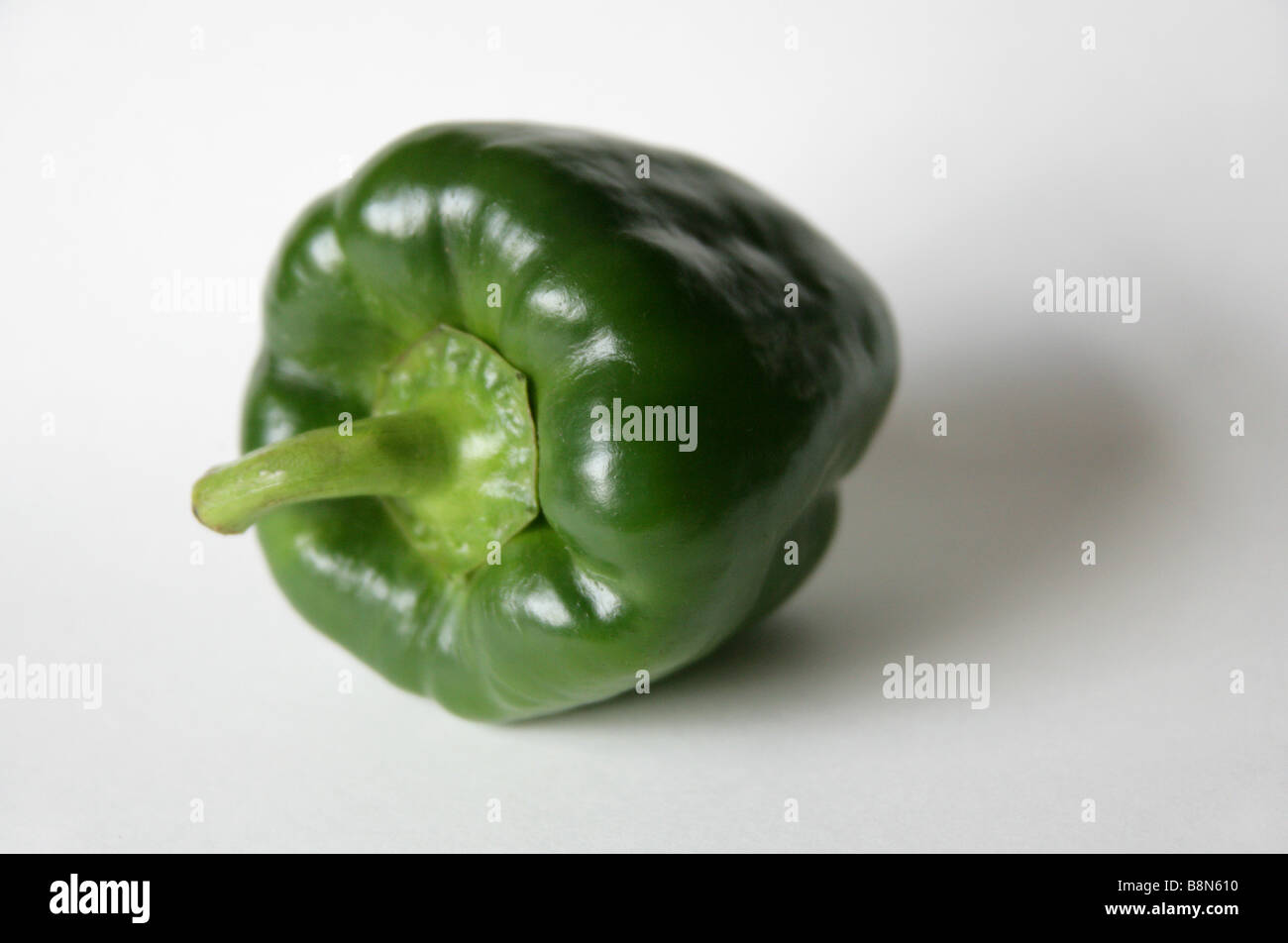 Poivron Capsicum vert Banque D'Images