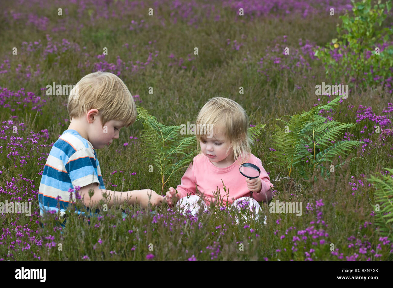 Garçon et fille 4 2 loupe à insectes sur la santé à North Norfolk Juillet Banque D'Images