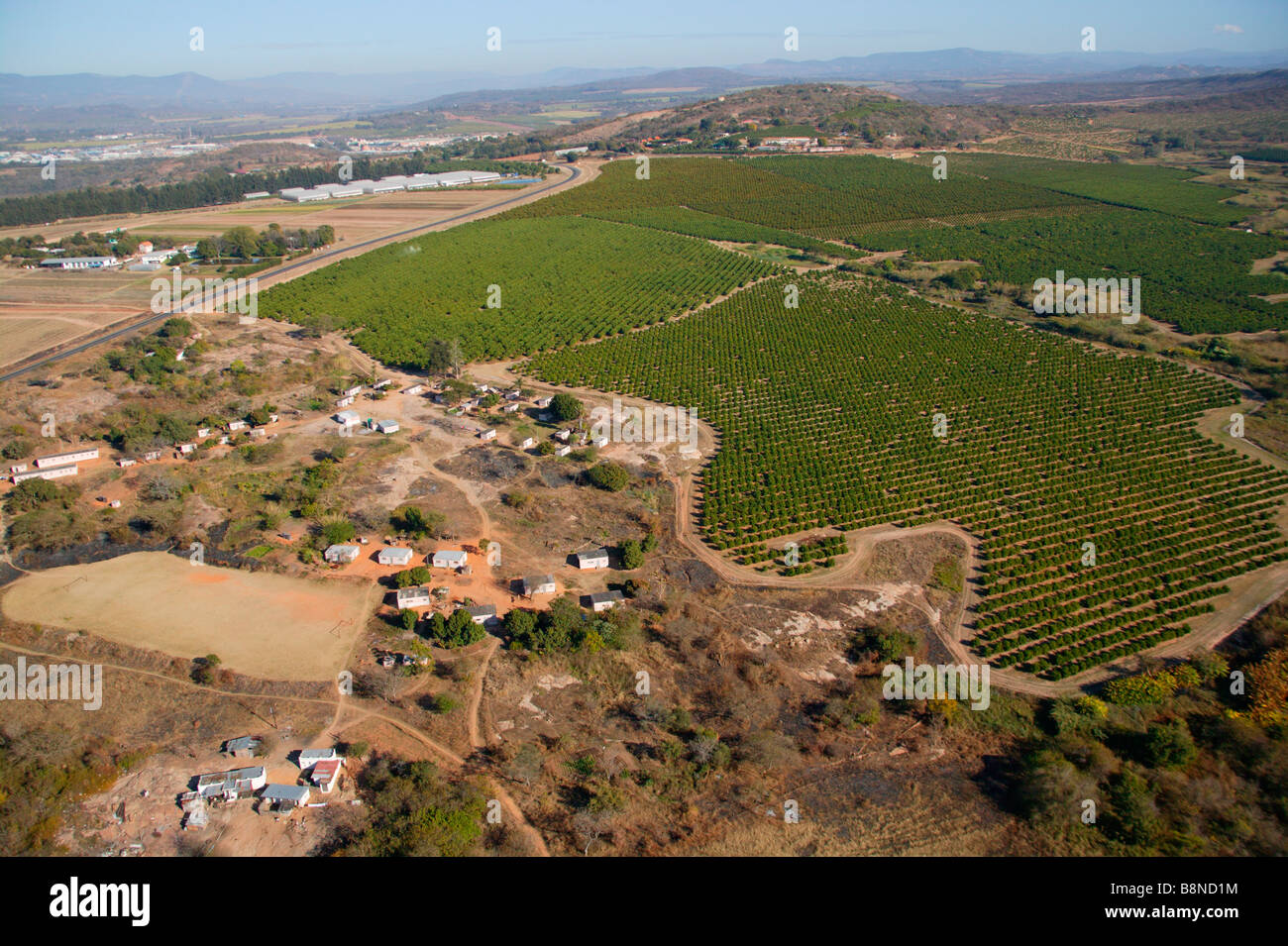 Vue aérienne de la campagne du Lowveld montrant l'orange et les vergers de litchis Banque D'Images