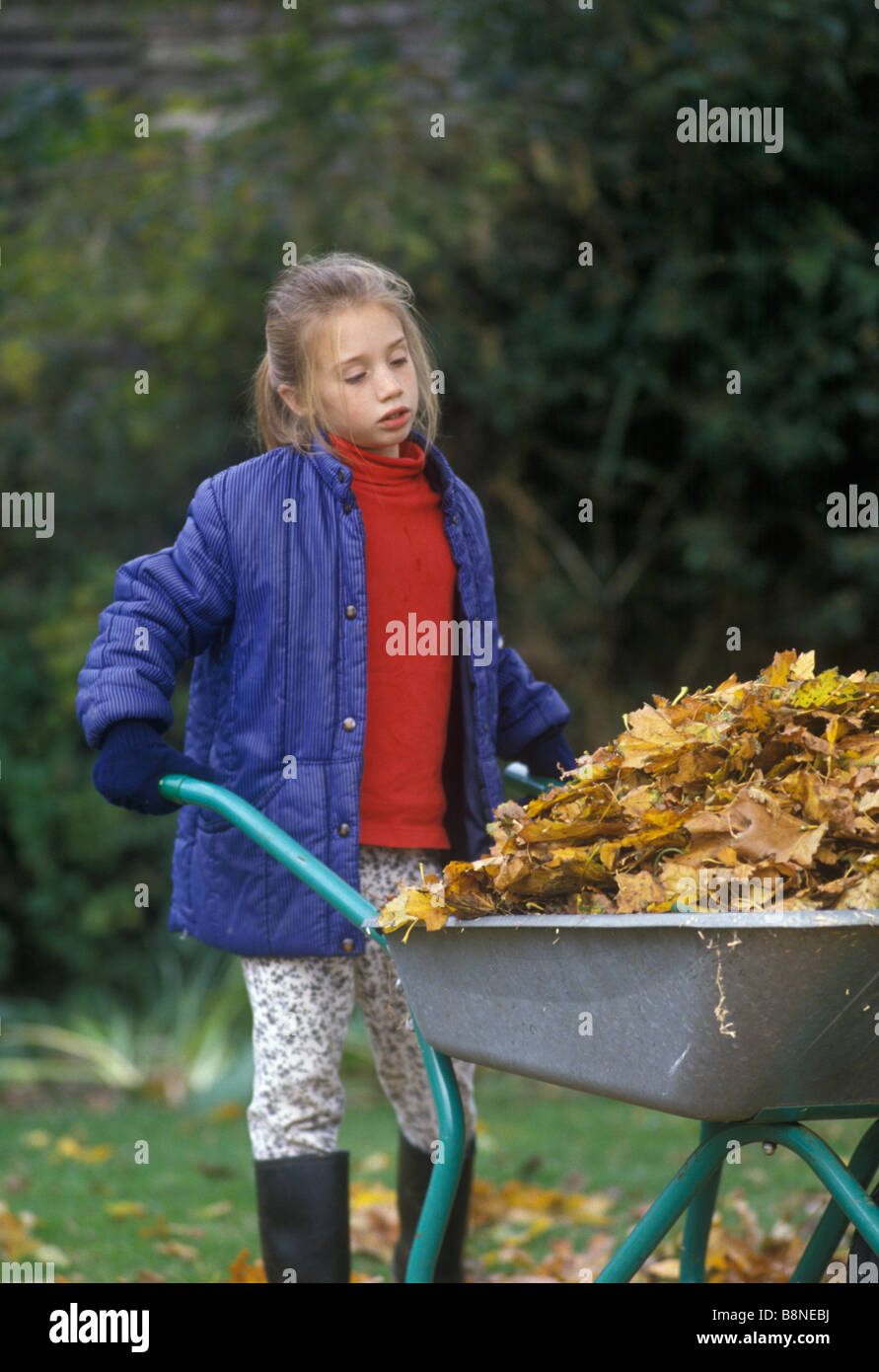 Petite fille dans le jardin de pousser une brouette pleine de feuilles d'automne Banque D'Images