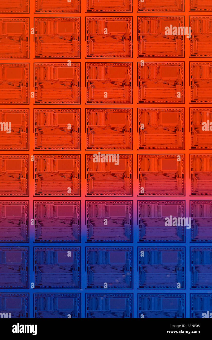 Schéma des circuits microchip sur silicium semiconductor wafer de l'ordinateur. Banque D'Images