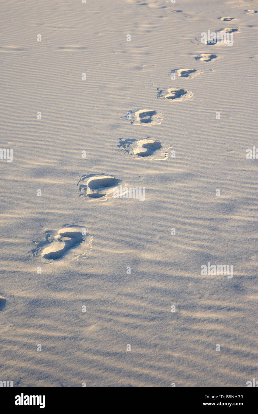 Empreintes Empreintes de pas dans le sable blanc sur une plage Robinson Crusoé. Homme Vendredi, Daniel Defoe empreinte dune impression. Banque D'Images