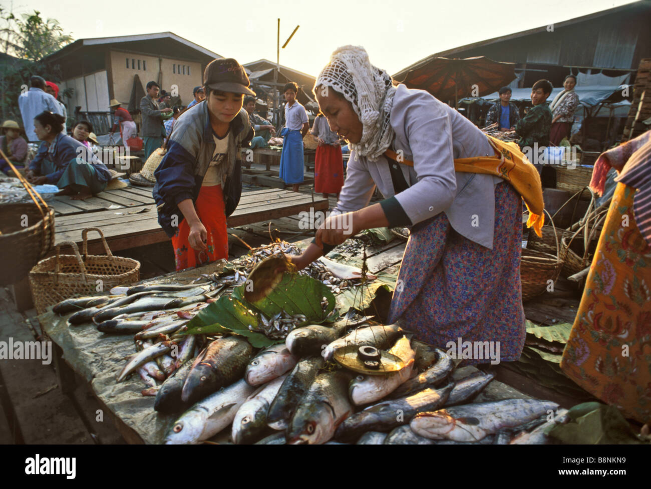 Marché de poisson de Bhamo tôt le matin le nord de la Birmanie Banque D'Images