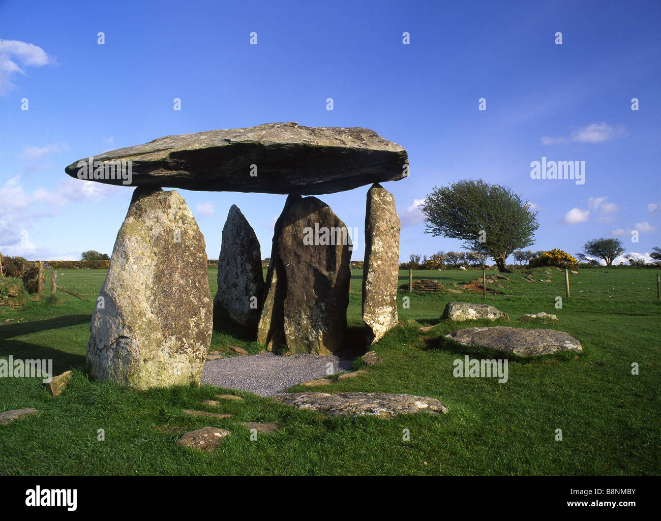 Pentre Ifan cromlech chambre funéraire près de Newport Pembrokeshire soir lumière Trefdraeth West Wales UK Banque D'Images