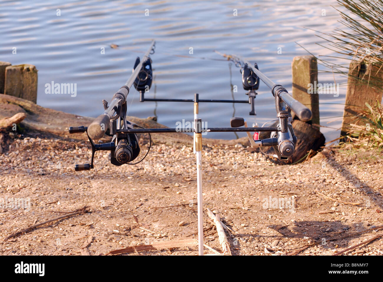 Cannes à pêche Banque D'Images