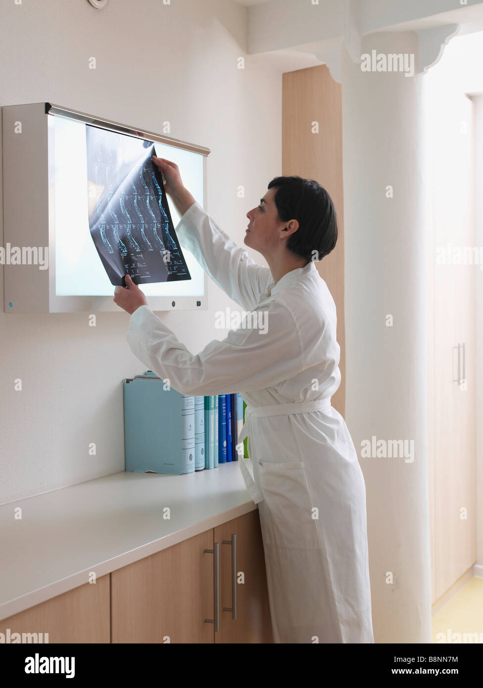 Médecin avec x-ray Banque D'Images