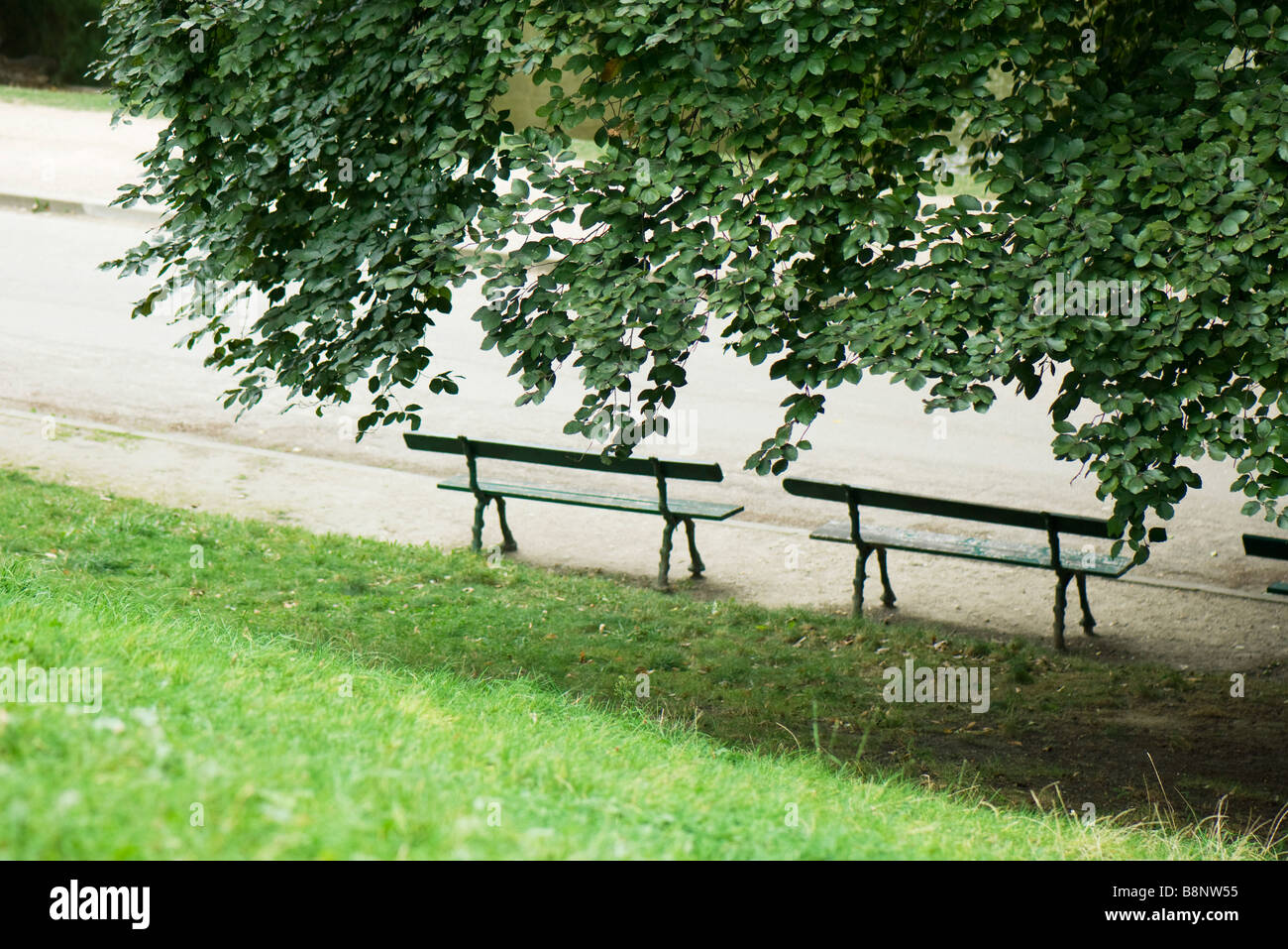 France, Paris, des bancs de parc en vertu de l'ombre d'un arbre Banque D'Images