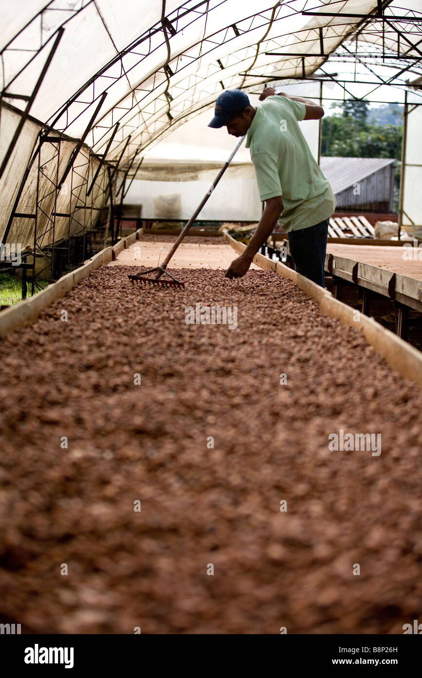 L'usine de transformation du cacao, République Dominicaine Banque D'Images
