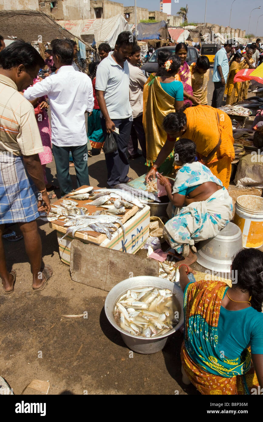 L'Inde Tamil Nadu Chennai beach fish market stall petits vendeurs sur la vente des fruits de mer fraîchement pêchés Banque D'Images