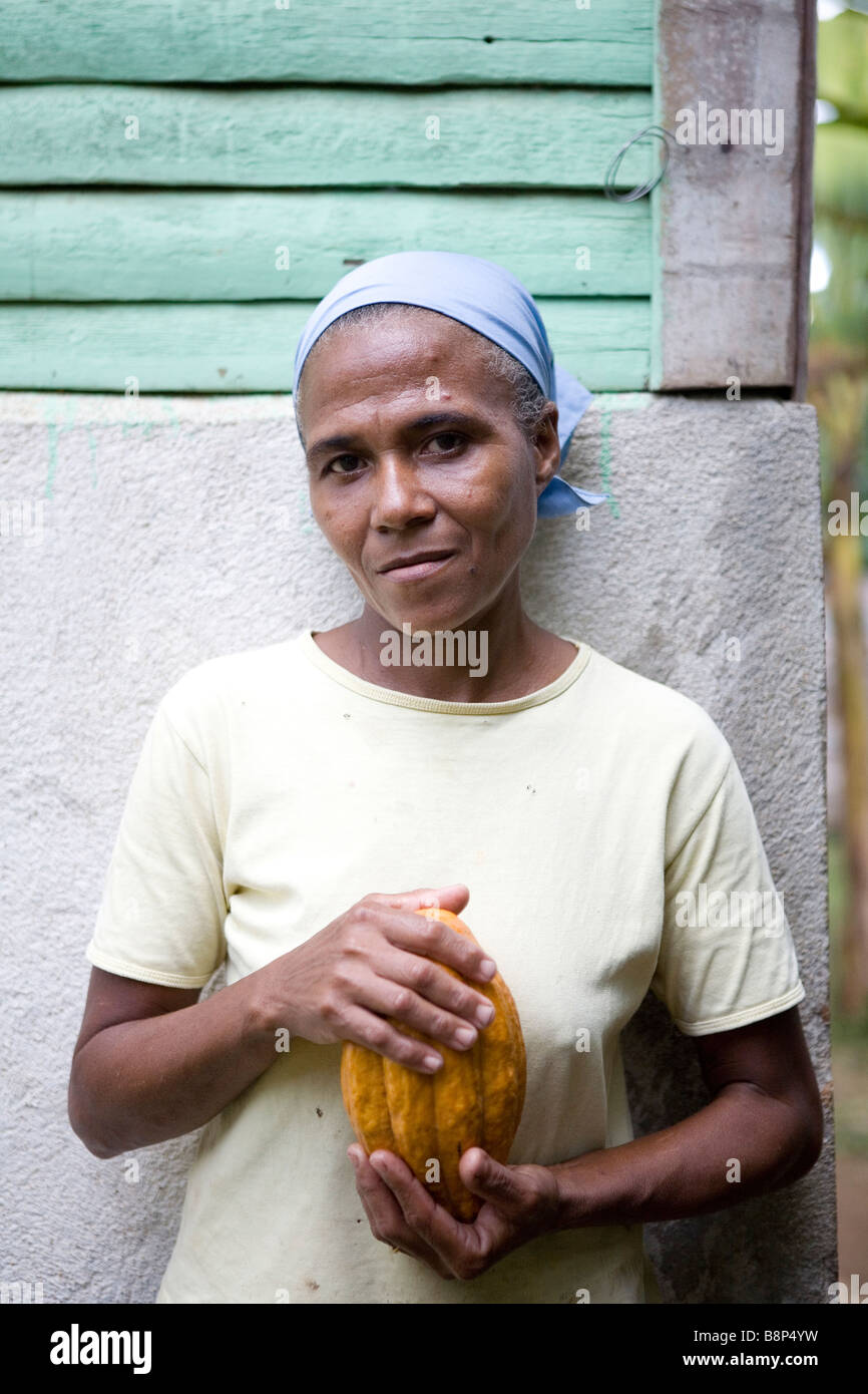La production de cacao, République Dominicaine Banque D'Images