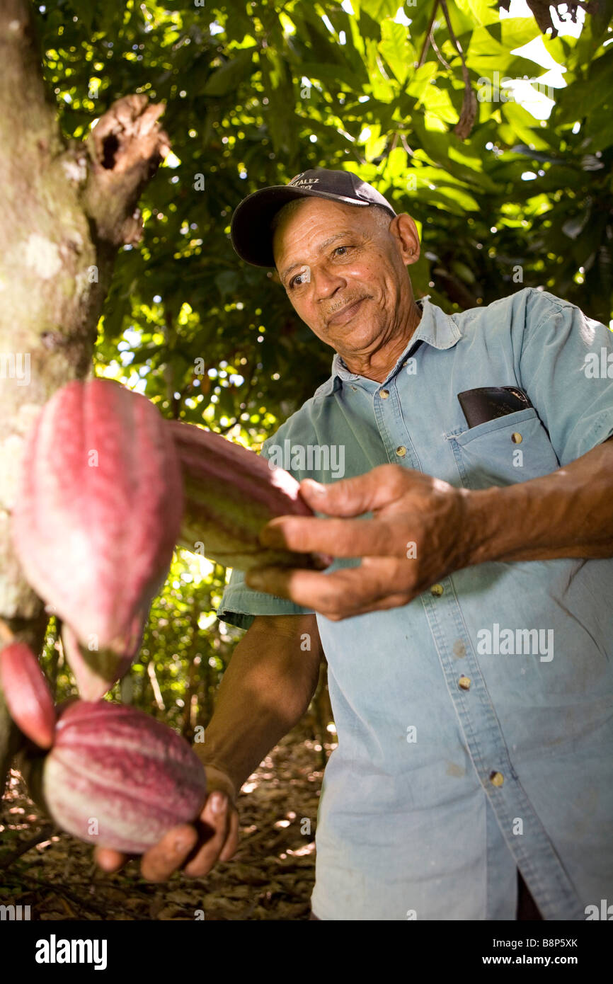 Producteur de cacao, République Dominicaine Banque D'Images