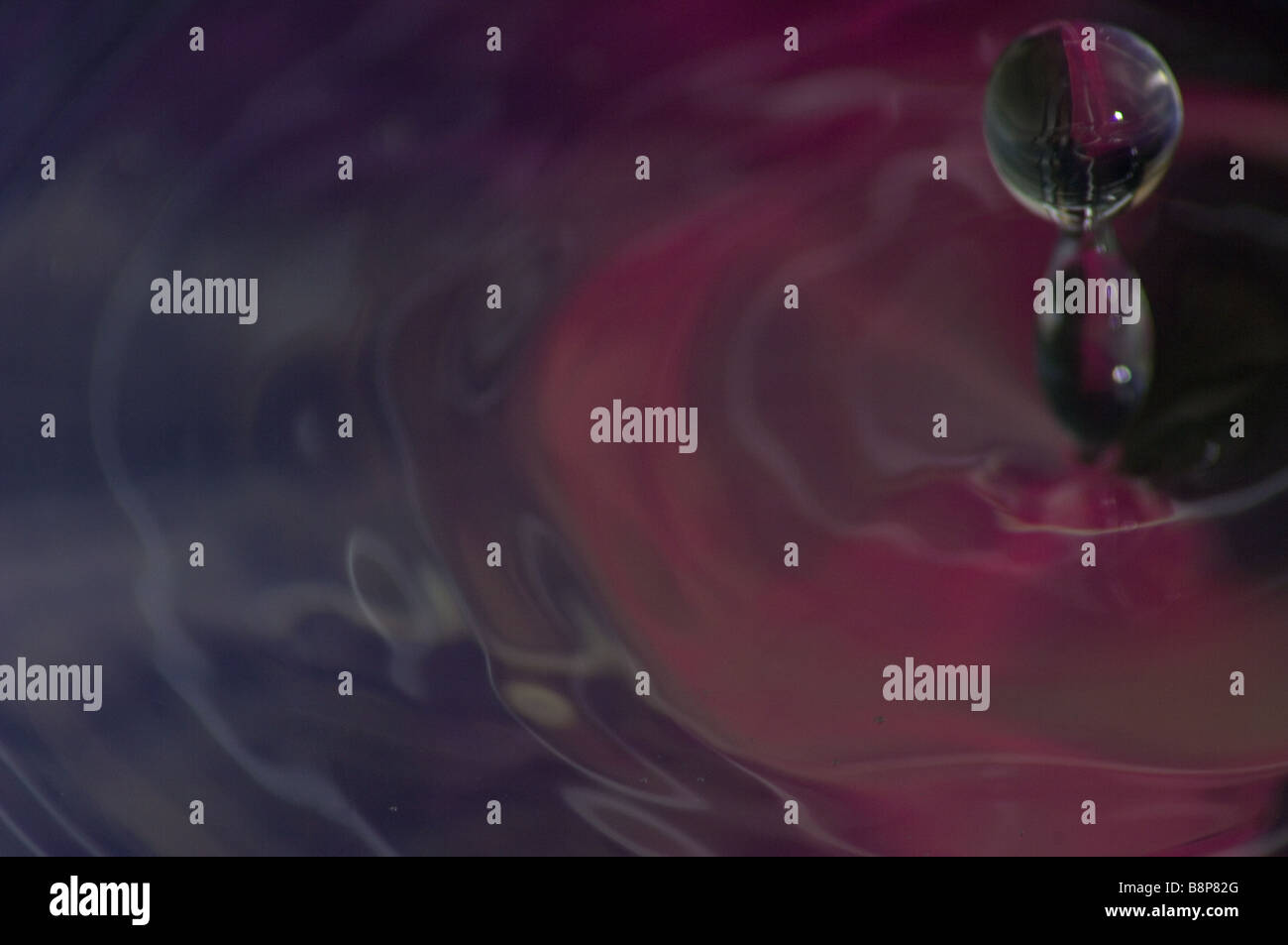 Purple water splash congelé dans tme Banque D'Images