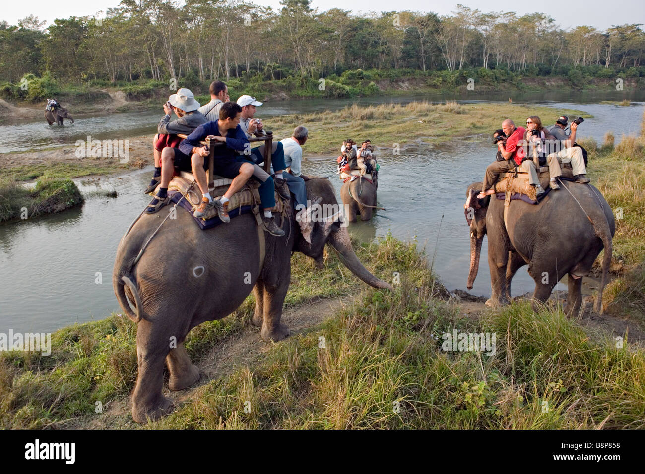 Des promenades en éléphant sont une des attractions principales dans Chitwan Parc national royal de Chitwan Népal Banque D'Images