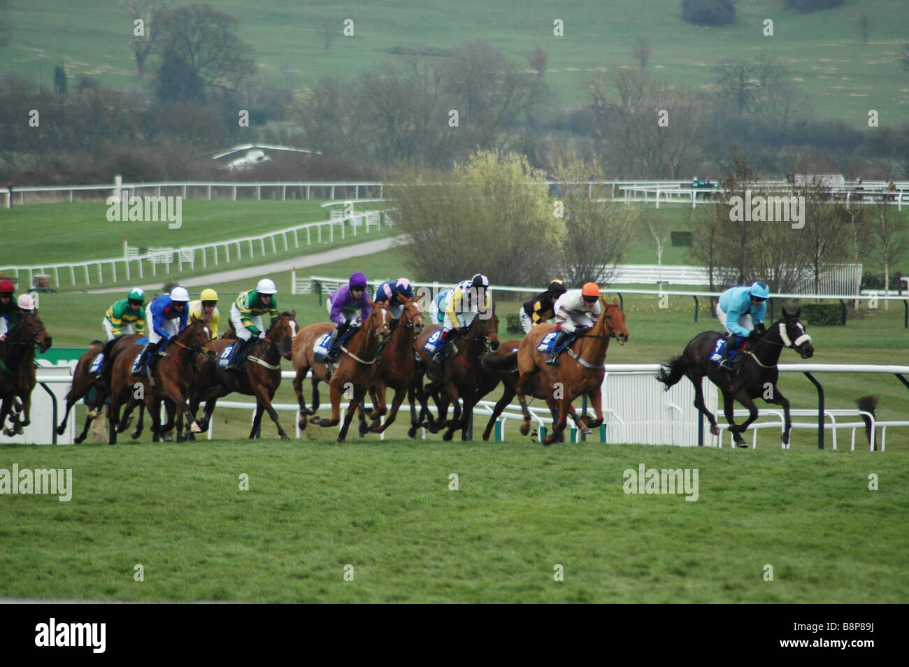Course de chevaux à l'Hippodrome de Cheltenham Gold Cup Gloucestershire Angleterre Banque D'Images