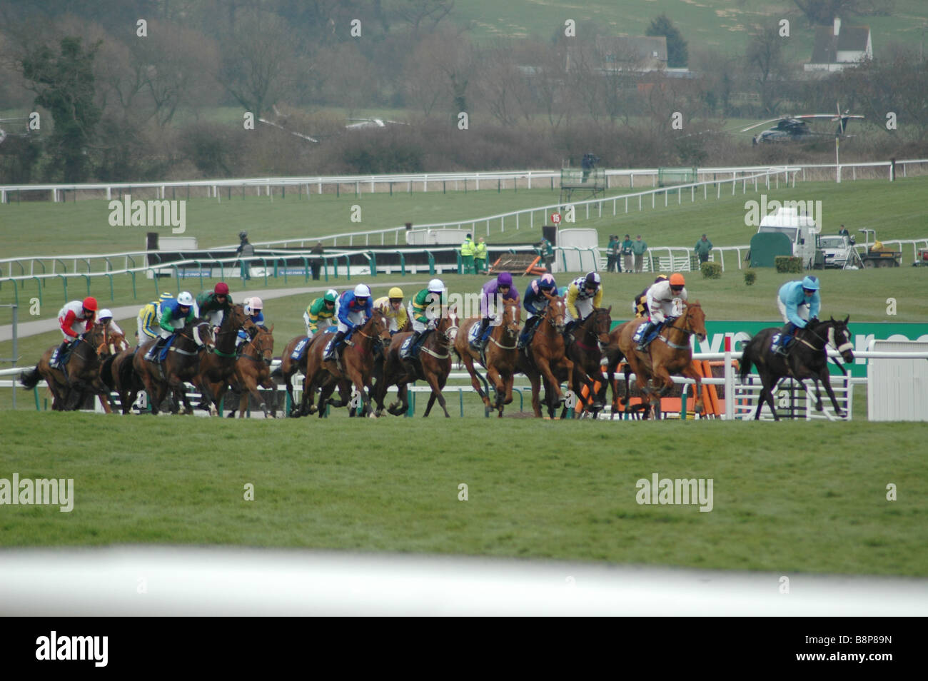 Course de chevaux à l'Hippodrome de Cheltenham Gold Cup Gloucestershire Angleterre Banque D'Images