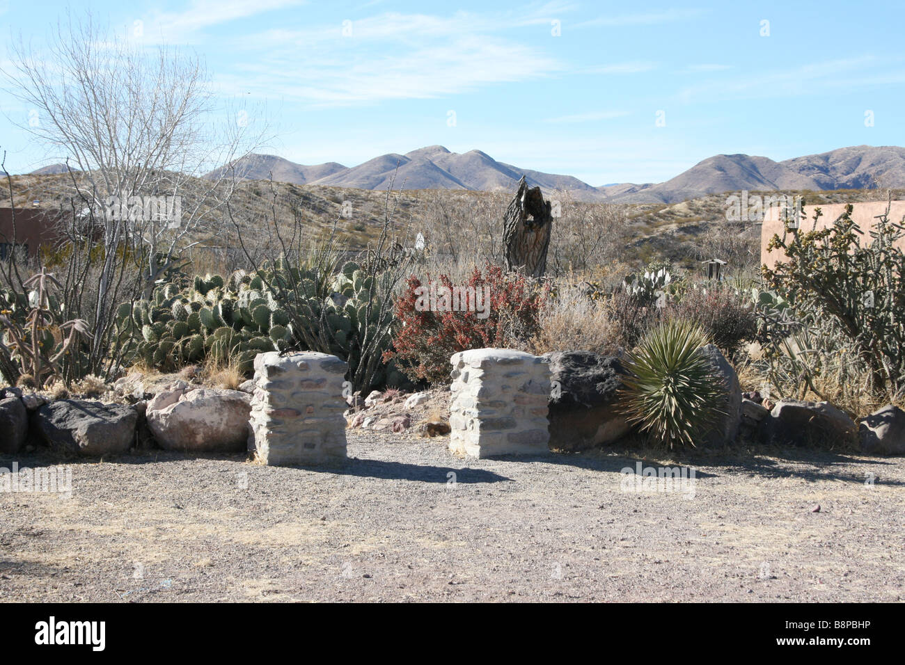 Entrée au jardin de cactus, réserve naturelle de Bosque del Apache, New Mexico, USA Banque D'Images