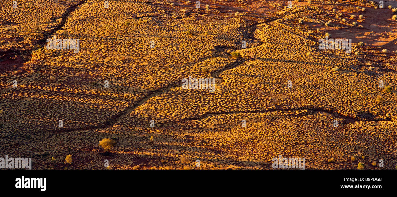 L'Australie Centrale, plaine spinifex Banque D'Images