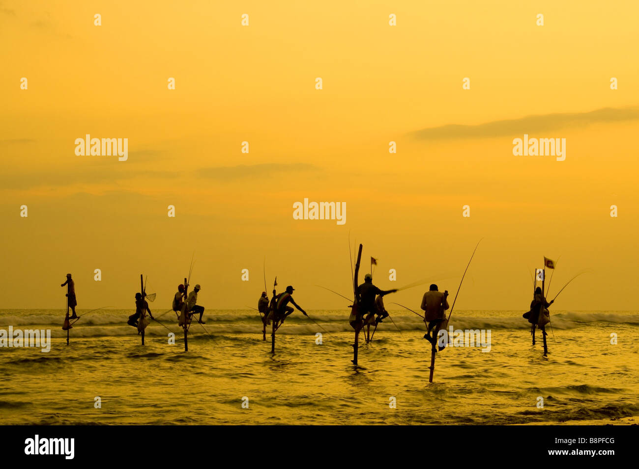 Pêcheurs sur pilotis et un coucher du soleil doré dans le sud du Sri Lanka. Banque D'Images
