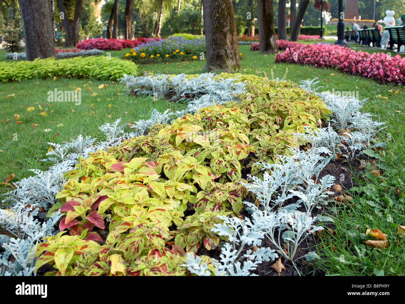 Blossoming parterres colorés en été Kiev City Park, près de l'Université Shevchenko (Ukraine) Banque D'Images