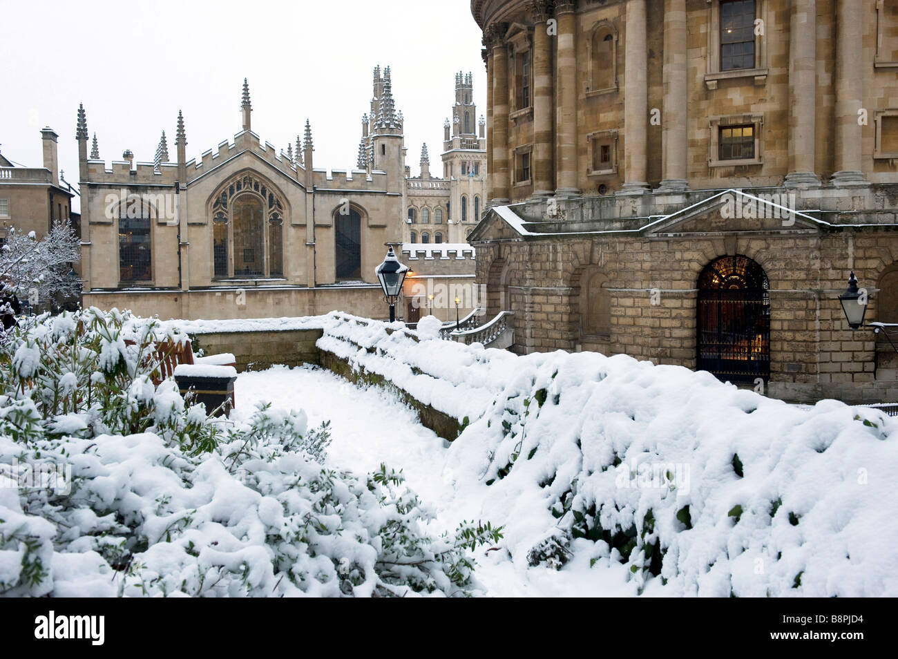 Radcliffe College et toutes les âmes vu à travers les arbres dans le jardin d'Exeter Banque D'Images