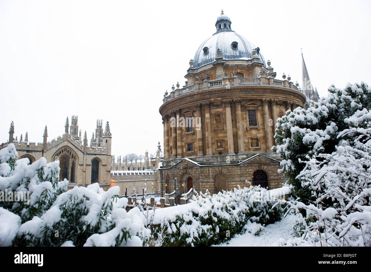 Radcliffe College et toutes les âmes vu à travers les arbres dans le jardin d'Exeter Banque D'Images