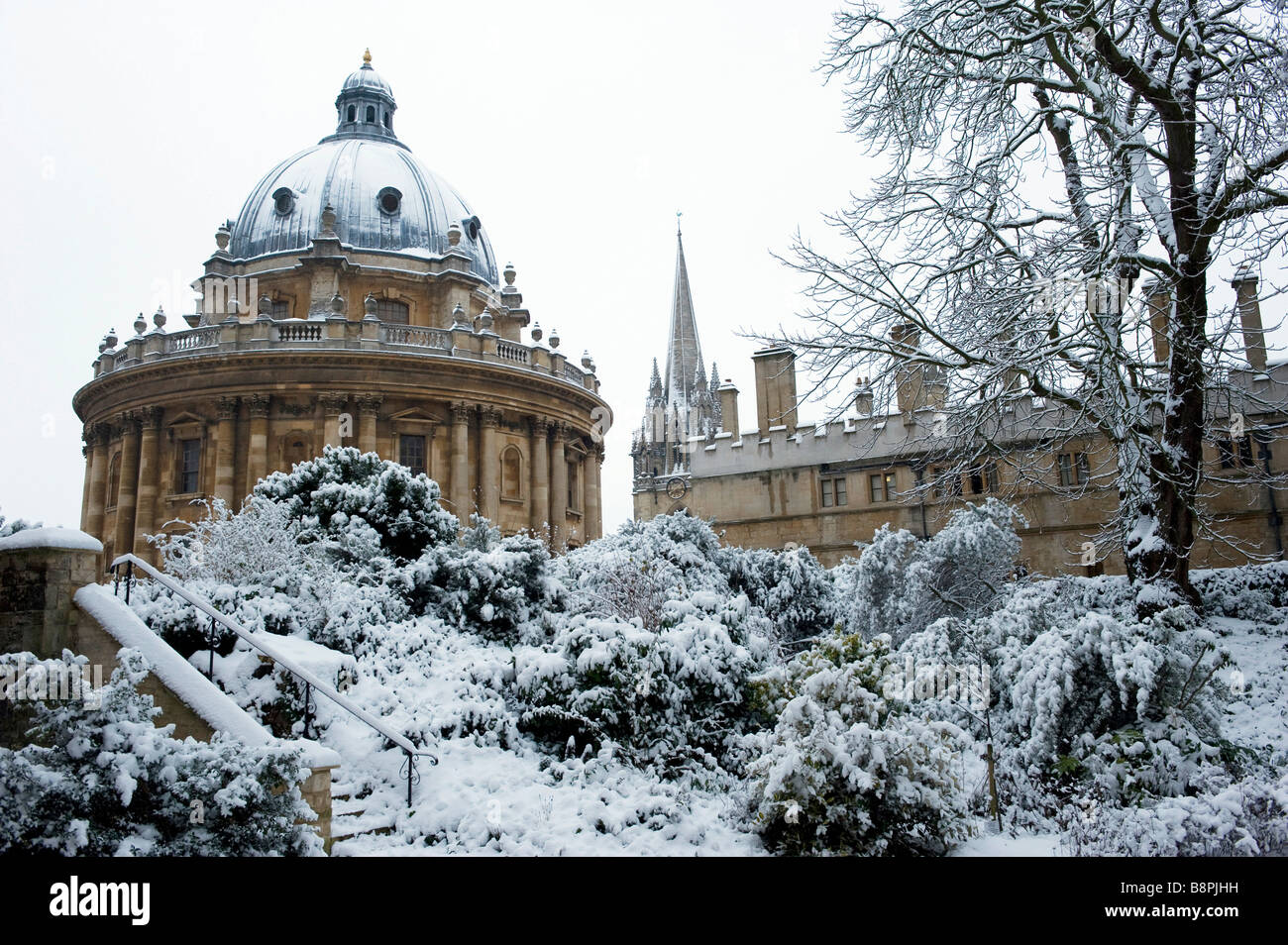 Radcliffe College et toutes les âmes vu à travers les arbres dans le jardin d'Exeter Banque D'Images