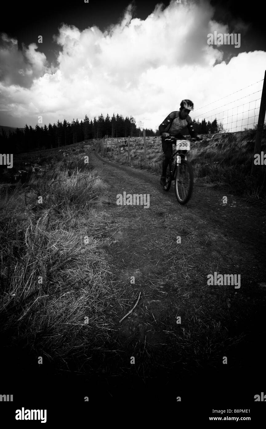 Mountain Bike rider en vitesse dans les bois Banque D'Images