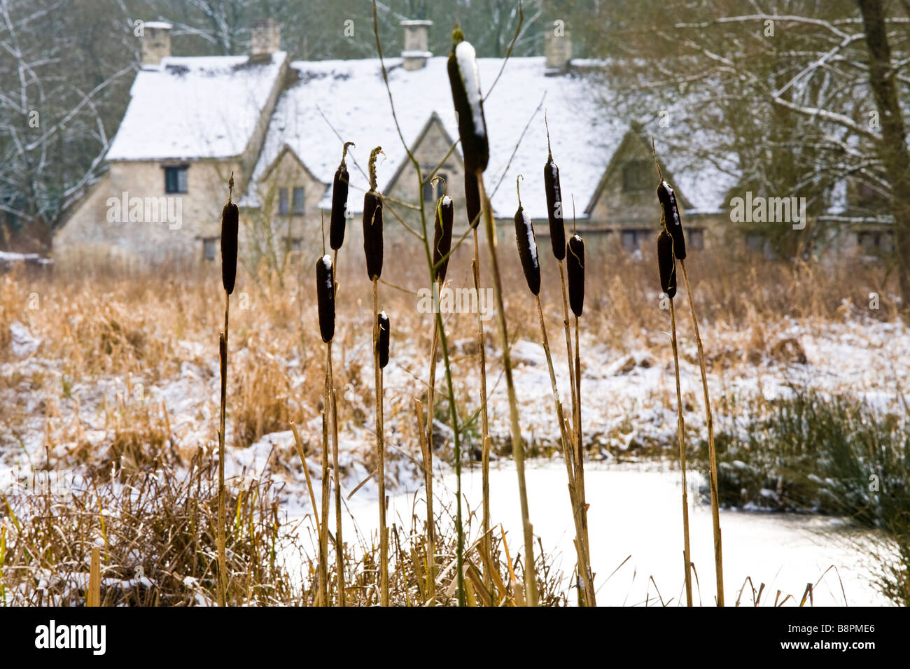 Joncs en hiver neige à Arlington Row dans le village de Cotswold, Gloucestershire Bibury Banque D'Images