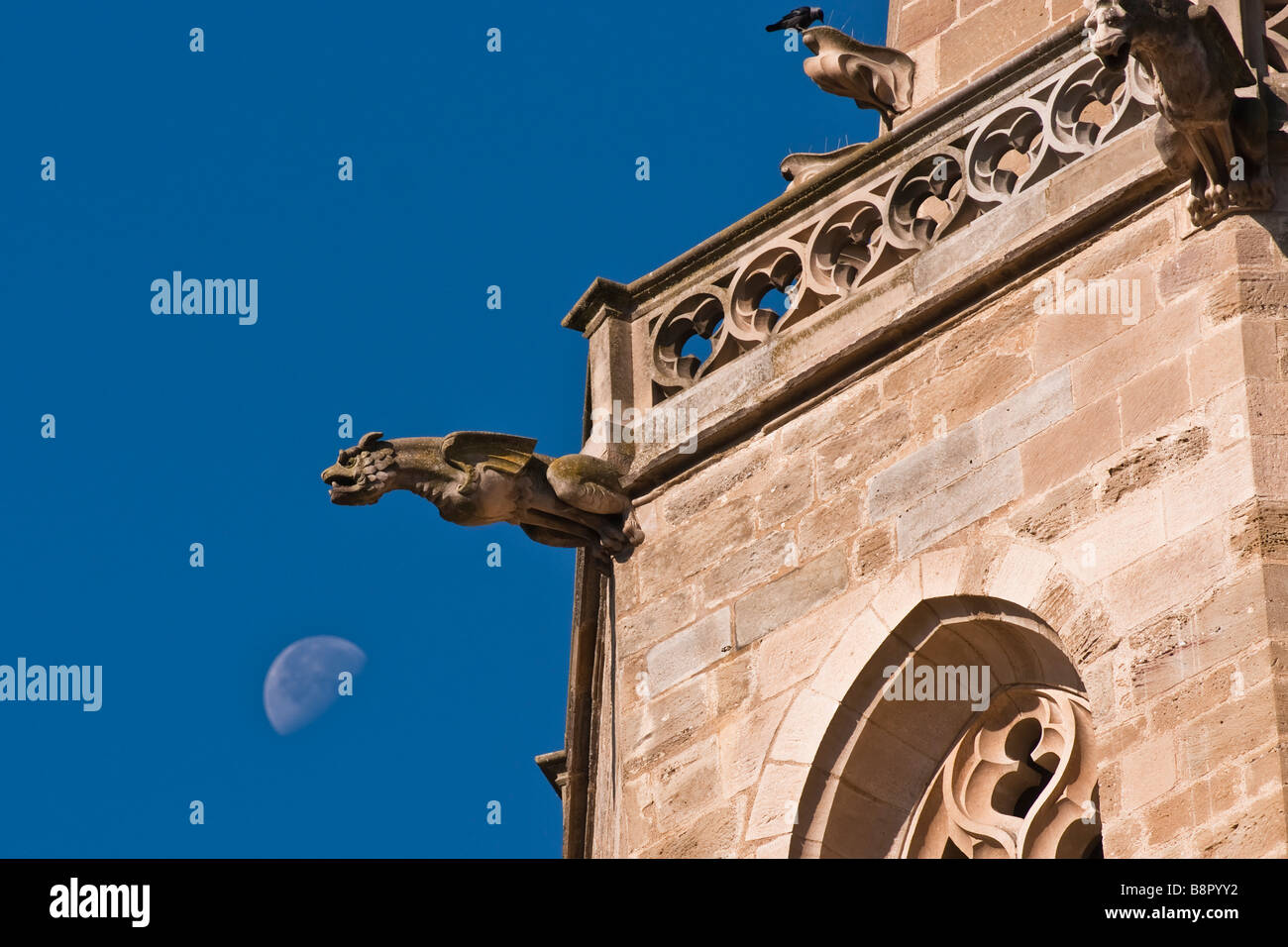 Une gargouille sur la cathédrale de Mirepoix, France Banque D'Images