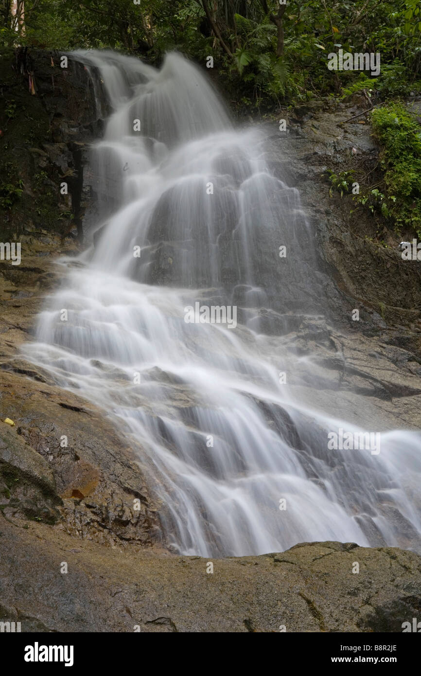 Cascade de Commonwealth Forest Park, Rawang, Malaisie Banque D'Images