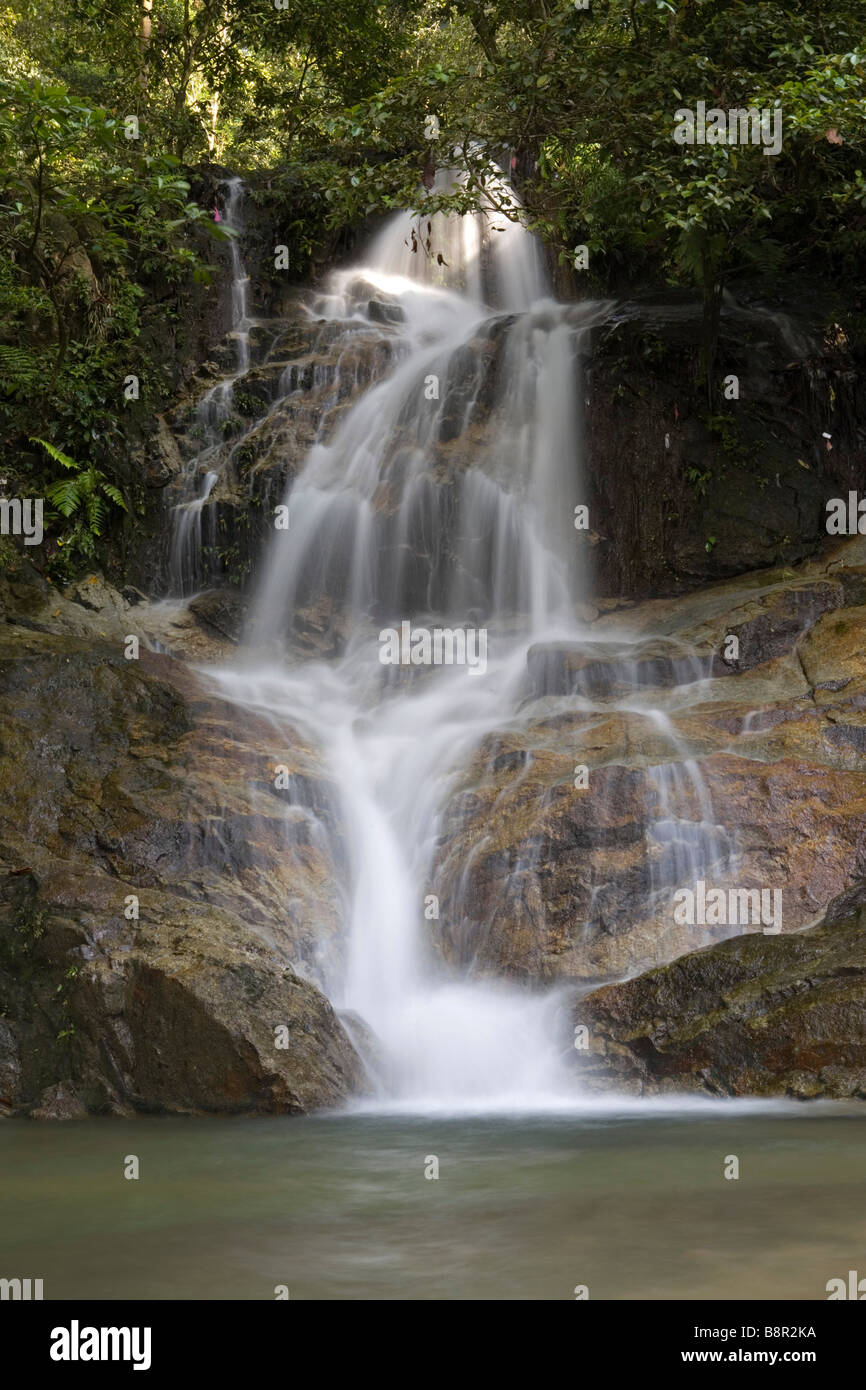 Cascade de Commonwealth Forest Park, Rawang, Malaisie Banque D'Images