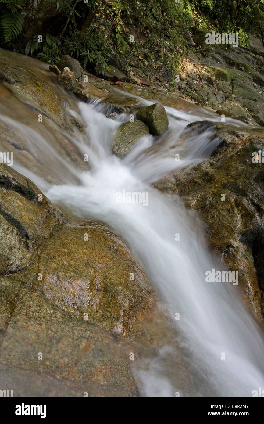 Cascade de Commonwealth Forest Park, Rawang, Malaisie Banque D'Images